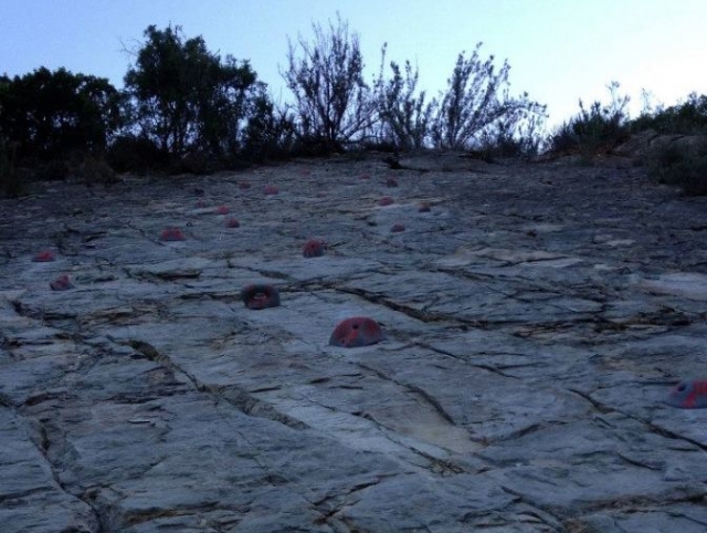 Presas para asistir la escalada
